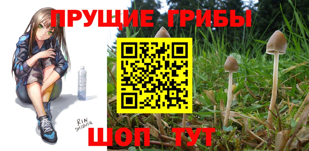 Галлюциногенные грибы мухоморы Торжок